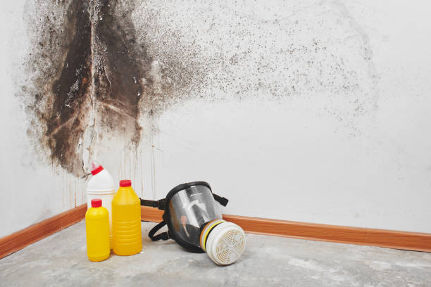 Best Crawl Space Mold Removal  in Goldsby, OK
