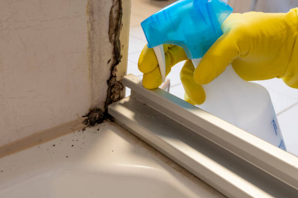 Attic Mold Removal in Goldsby, OK