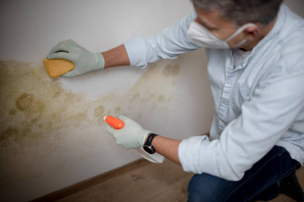 Water Damage Restoration in Goldsby, OK