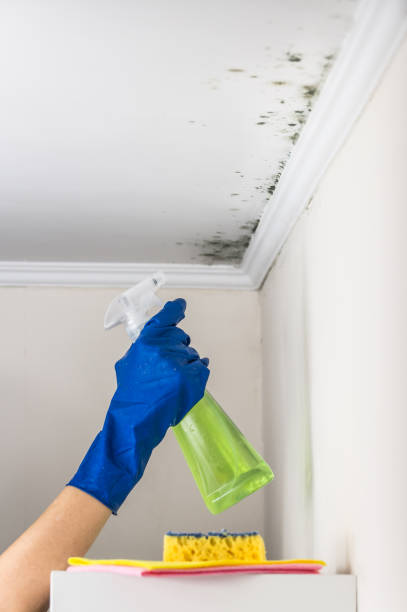 Best Certified Mold Removal  in Goldsby, OK
