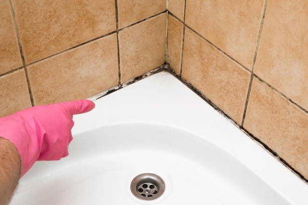 Best Mold Testing  in Goldsby, OK